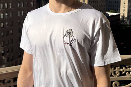 City Bird
